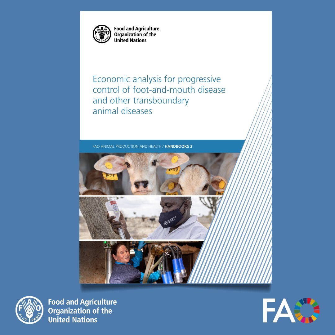 FAO Livestock tweet media