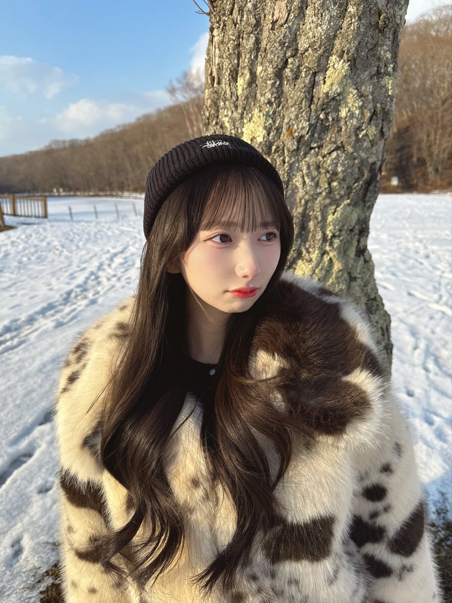 鮭とば (@saketobasakana) / Posts / X