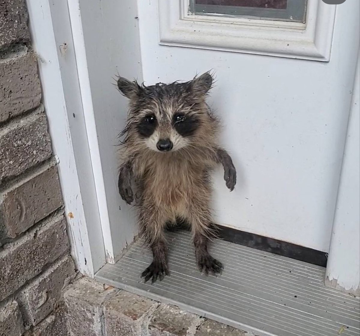 Jeff "JefferM" Meisner ⚡️ tweet media