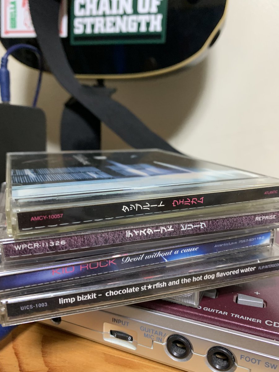 この辺りはよく聴きました
今でも聴く 

#ニューメタルに目覚めたアルバム晒して１００いいね目指す