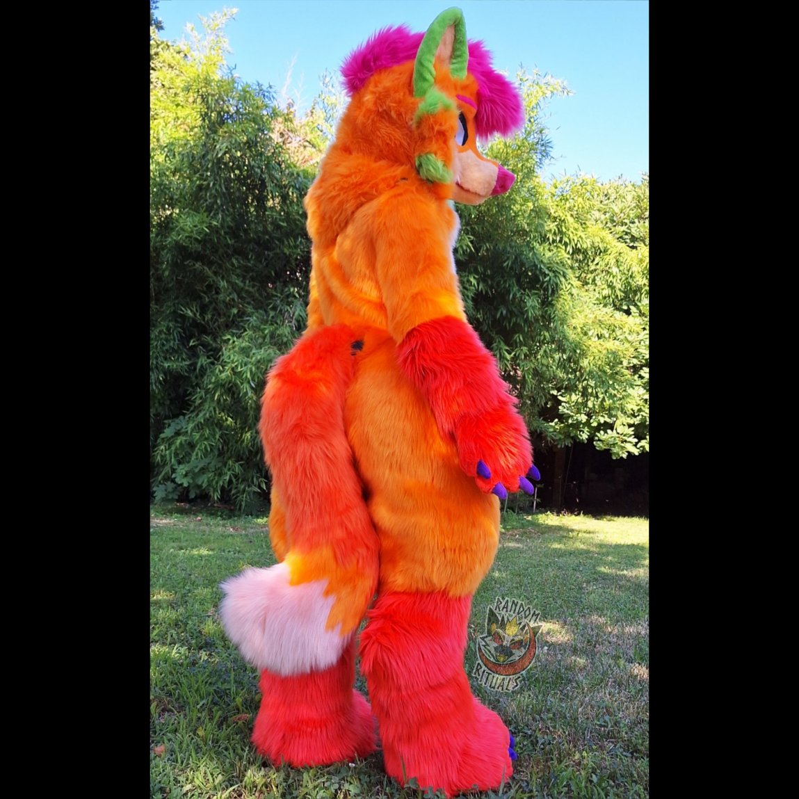 Fursuit Review tweet media