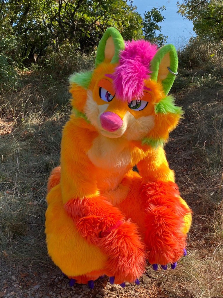 Fursuit Review tweet media