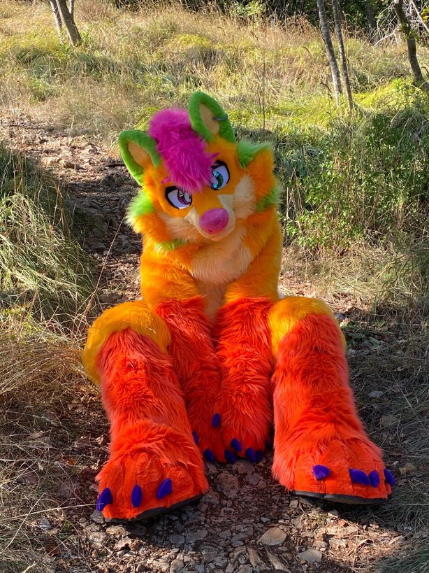 Fursuit Review tweet media