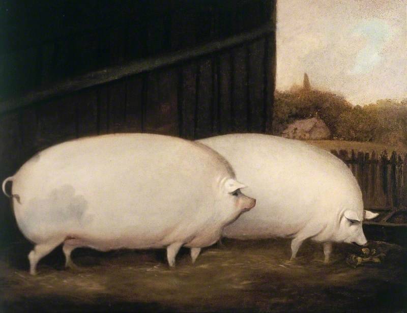 archaeologyart's tweet image. A Pair of Pigs,  c. 1850, Medium: oil on canvas, Compton Verney.