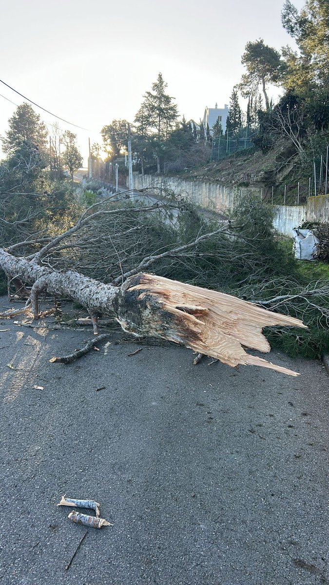 Mgime's tweet photo. @comandotibidabo Algunes mostres a #Castellviderosanes. I la llum, anant  i venint. Per cert, reinvidicar el penós estat de les infrastructures de llum i telèfon al municipi i, molt concretament, al barri del Taió. Serveis de tercera a preus de primera. https://t.co/T3rrcHoofg