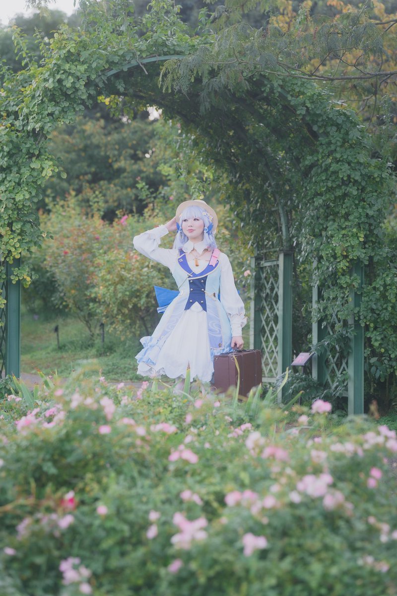 【Cosplay/コスプレ】

原神 ／ 神里綾華

Photo : rukutoさん
<a href="/rukuto____mel/">𝗿𝘂𝗸𝘂𝘁𝗼</a> さん

#京成バラ園
#GenshinImpactcosplay
#KamisatoAyaka