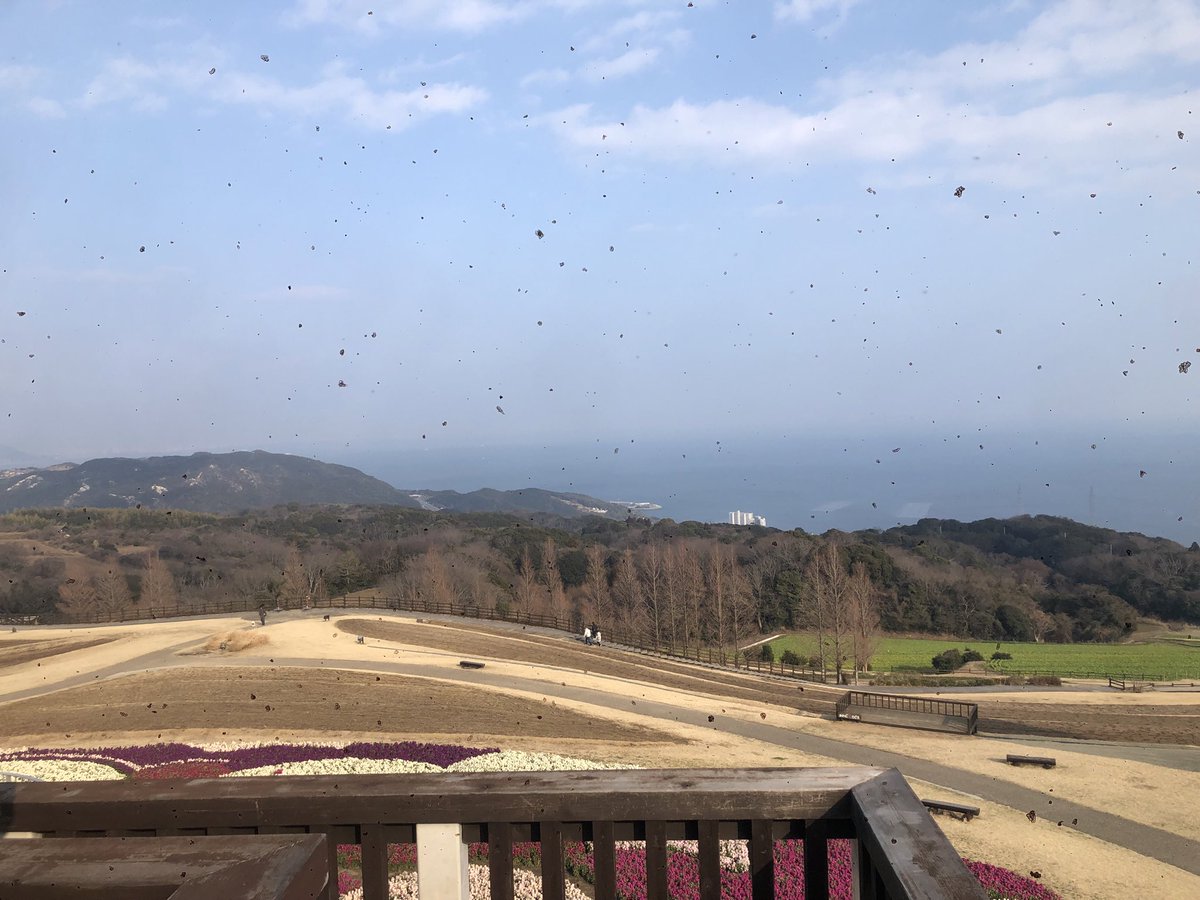 tasuke7's tweet photo. 今日はドライブに、淡路まで https://t.co/8BqkRB1hDp