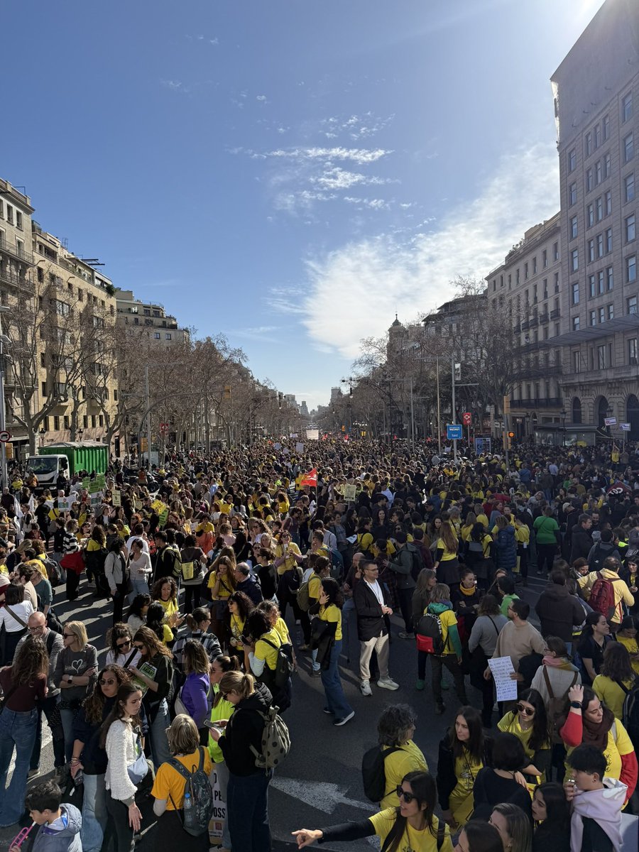 Fer i Ser Professora tweet media