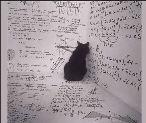 “In the end, we will remember not the words of our enemies, but the silence of our friends.” 

- Martin Luther King Jr.