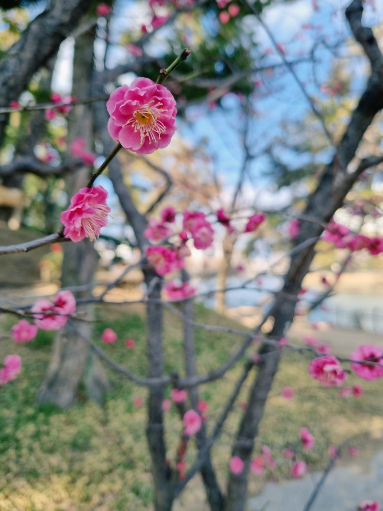 Ash May (If you ask nicely 💕) tweet media