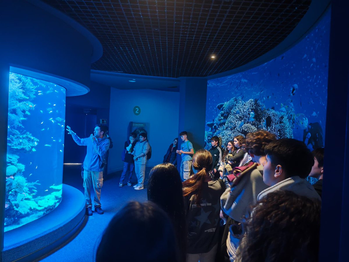🌊 Sortida al Palma Aquarium amb 1r d’ESO 🐢
Els alumnes de 1r d’ESO han visitat el Palma Aquarium, on han pogut descobrir la riquesa del món marí i han gaudit d’un taller de dissecció, que els ha permès aprofundir de manera pràctica en l’estudi de la biologia.📚✨