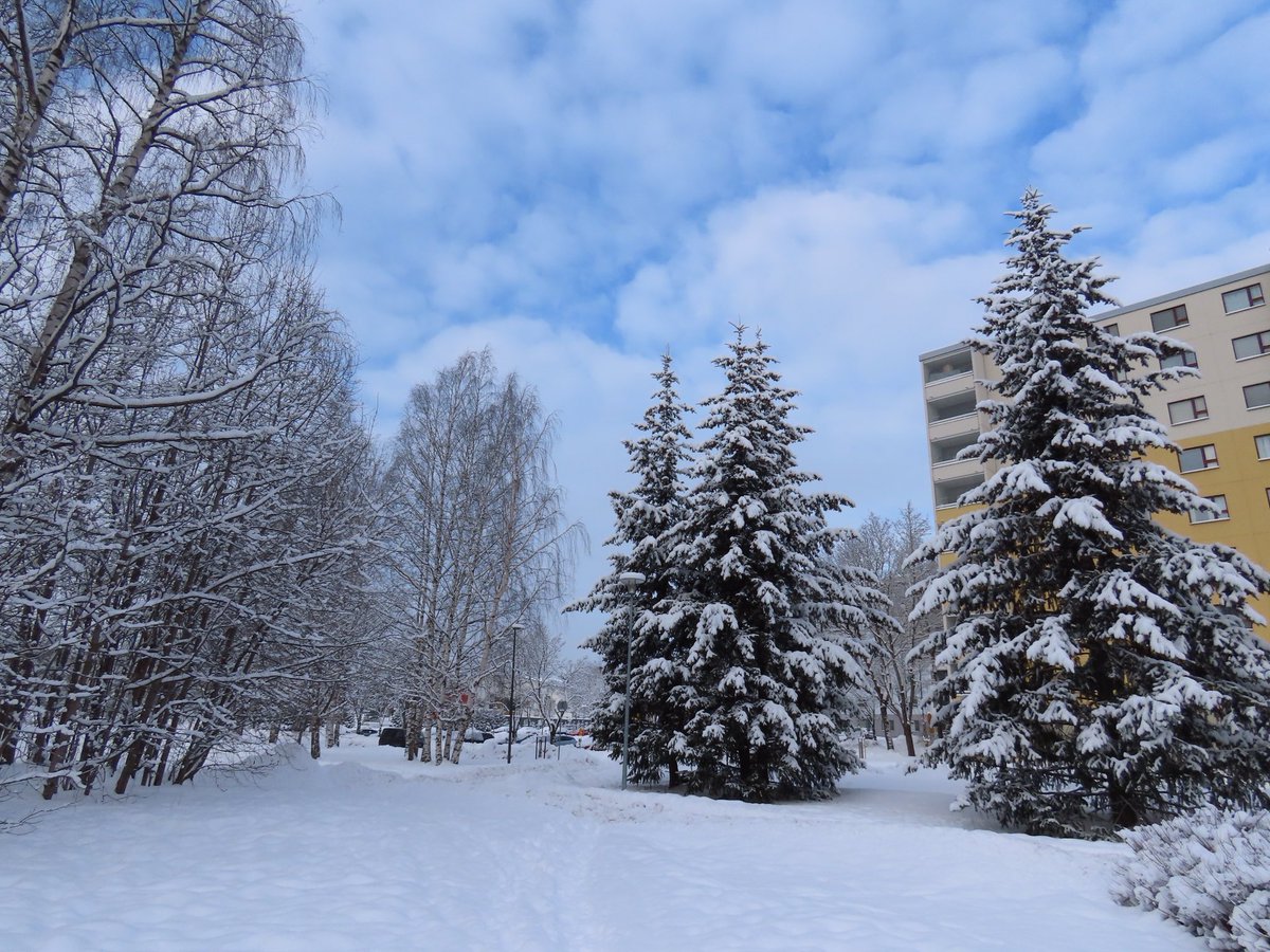 Talvi on hauskaa aikaa⛄️