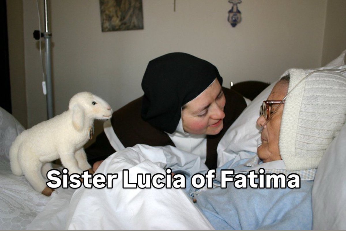 FatimaFamily's tweet photo. https://t.co/4YRapiTIDw