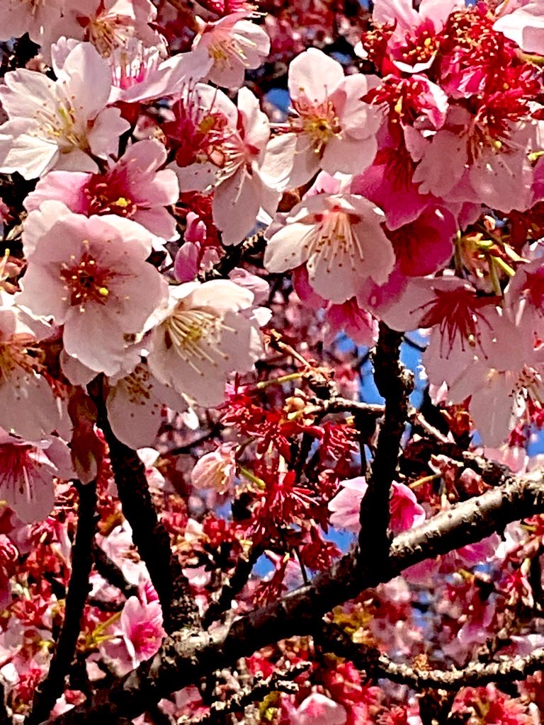 chachako·K (@goiuHFVZQB60r6O) / Posts / X