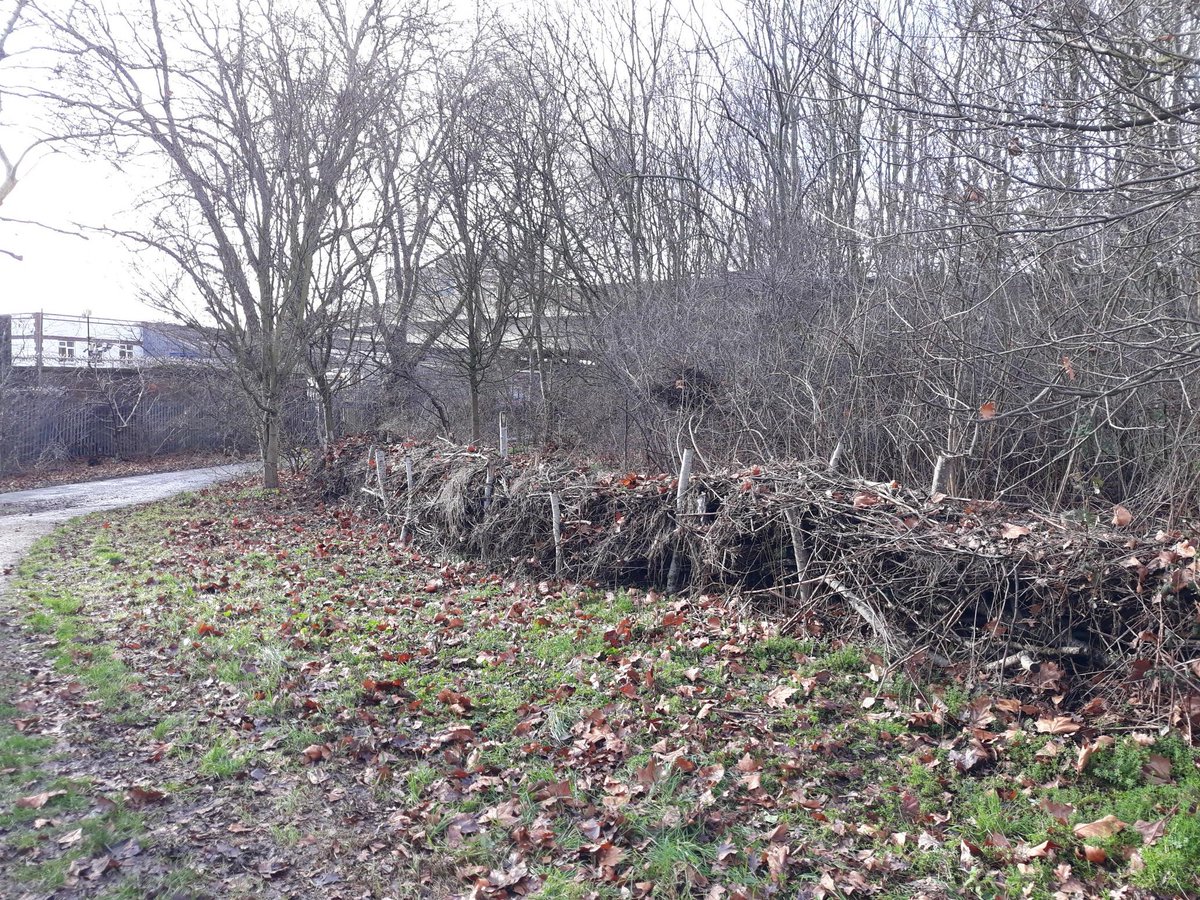 Volunteers Officer tweet media