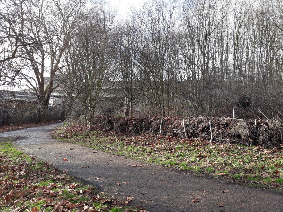 Volunteers Officer tweet media