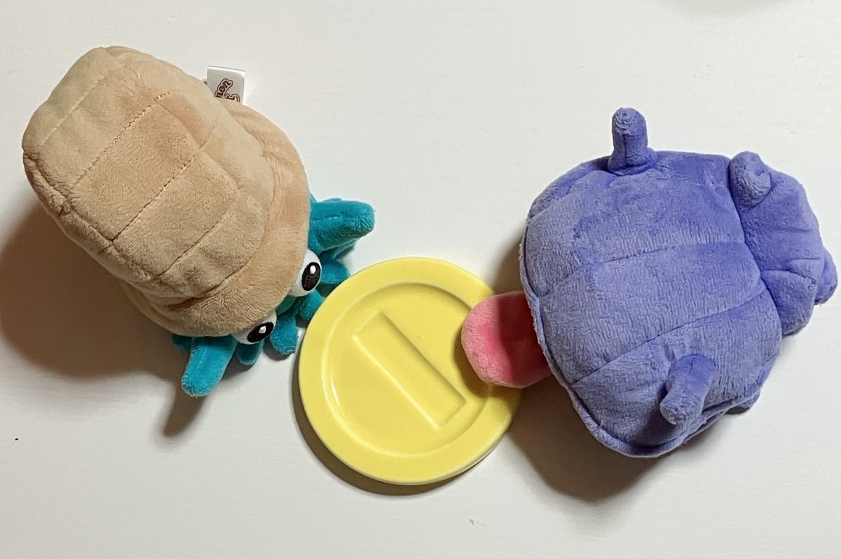 シェルダーとオムナイト tweet media