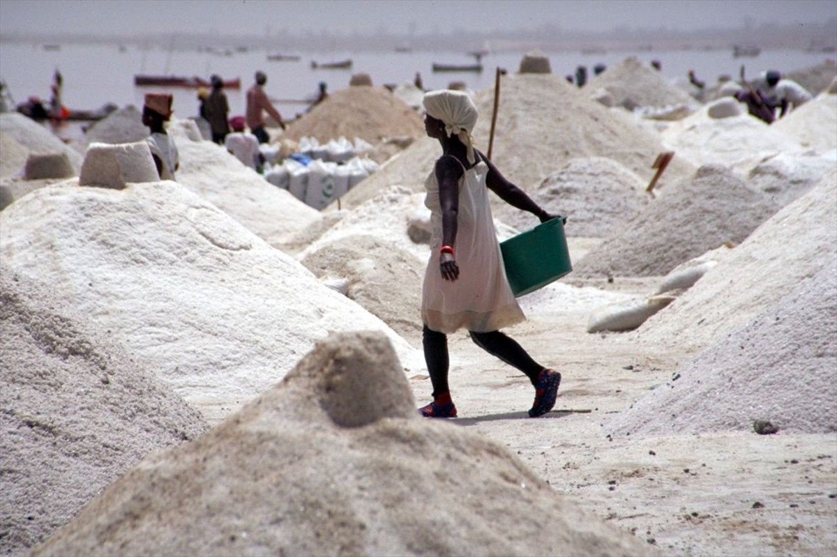 finance_sika's tweet photo. Le Sénégal ambitionne de structurer la filière sel en véritable moteur industriel, avec un objectif de 30 000 emplois formels et 350 milliards FCFA de chiffre d’affaires d’ici 2034, a annoncé le Premier ministre Ousmane Sonko. 

https://t.co/EMSrbXI4DY https://t.co/VzXmCdpoOw