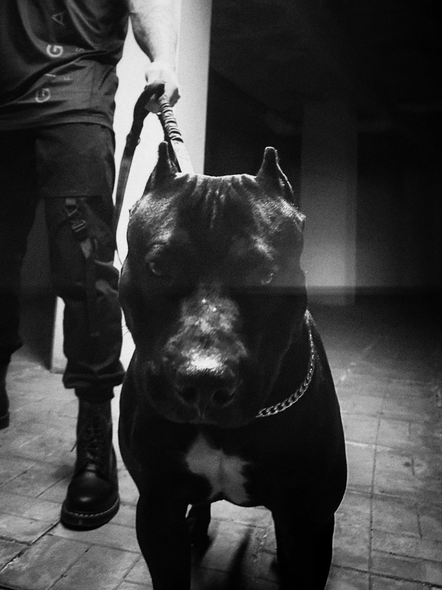 Hello. I'm surprised I offended anyone by taking legitimate profits. I find it inappropriate when people ask for more than I can give. I've never hidden the fact that I'm focused solely on Giga Fitness. Please pull yourself together, I haven't stolen anything from you. Thanks.