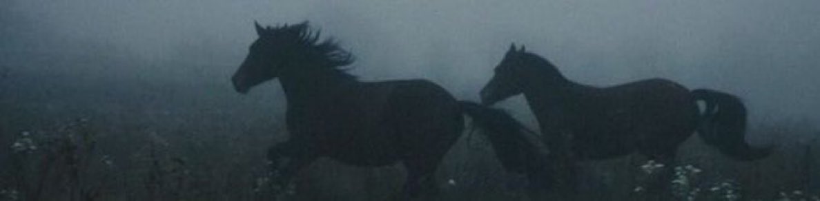 “bendeki yorgunluğu bağışla; 
bir yol derdinde eskidim, yolda bile değil.”