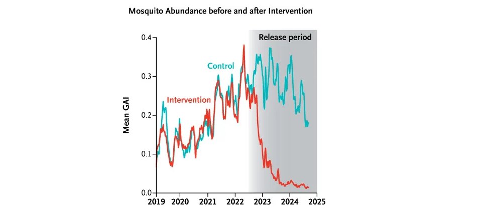 mac_anas's tweet image. Supresión del dengue mediante mosquitos macho infectados con Wolbachia

 | New England Journal of Medicine

fundacionfemeba.org.ar/blog/farmacolo…