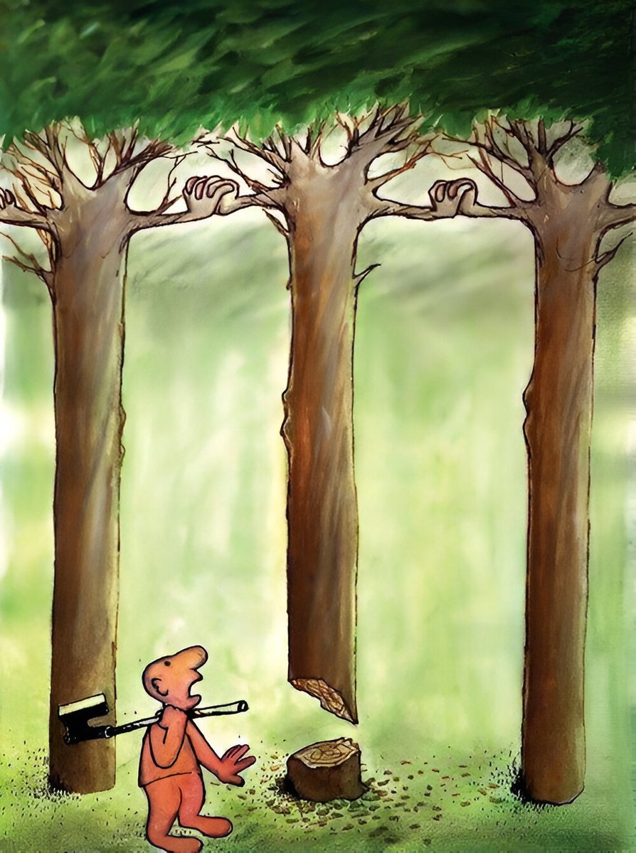 Meaningful pictures (@meaningfulpictr) on Twitter photo 