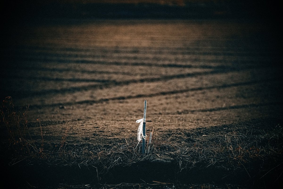 みかづき (@mic_azuki) / Posts / X