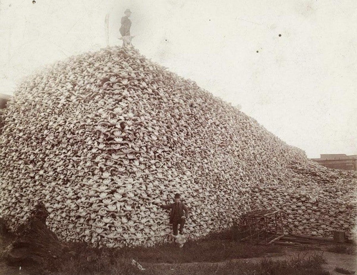 i never want to hear anything from white people about other peoples destroying the environment