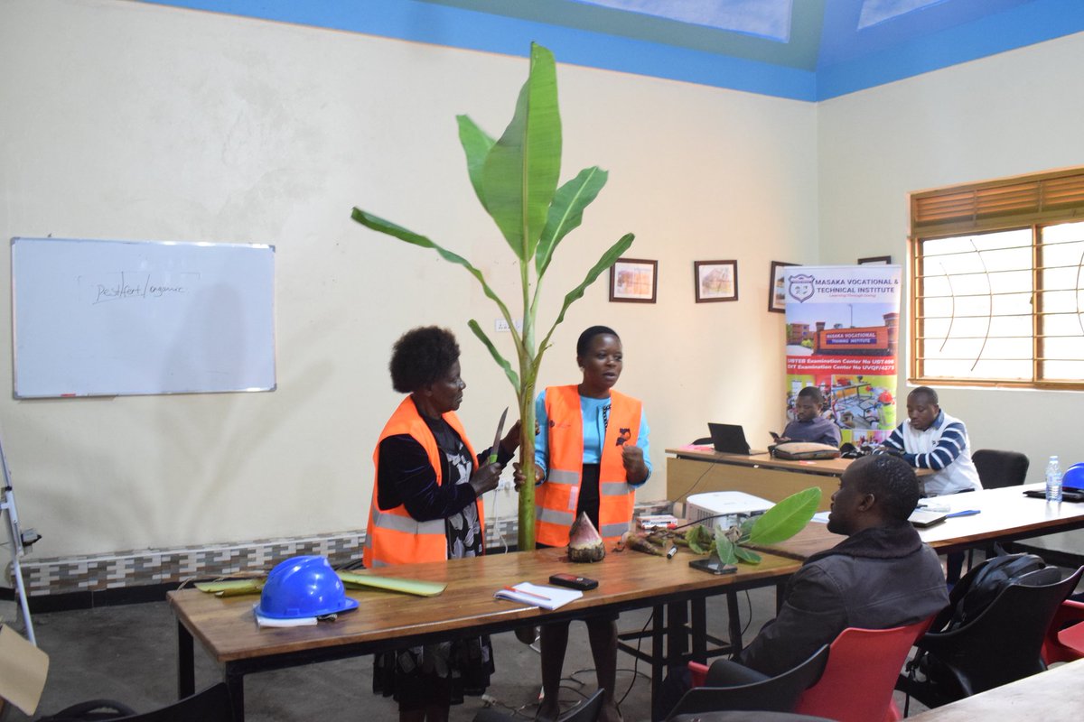 Uganda Solar Energy Association(USEA) tweet media