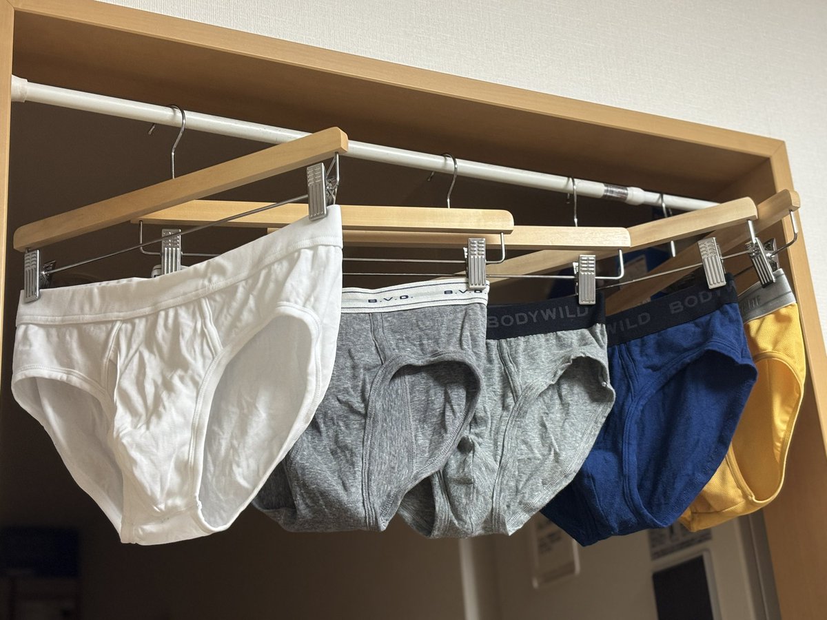 最近はブリーフが普段穿きになってる