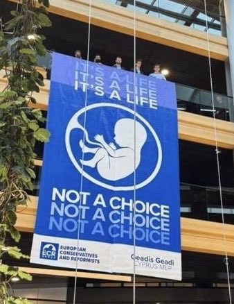 Valérie Hayer tweet media