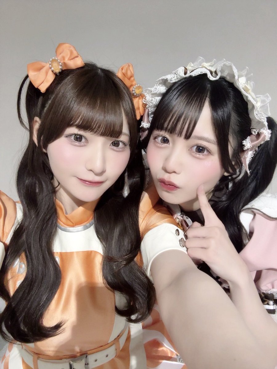 iLiFE_fukumaru's tweet photo. もんちゃん！🧡らぶ🫶🏻🫶🏻 https://t.co/8bUZhF6fej