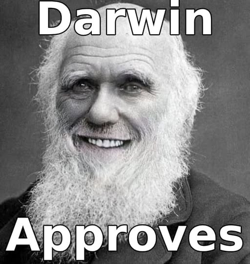 Dio's tweet image. Se ci fate caso, le cose hanno iniziato a peggiorare da quando Darwin ha smesso di studiare teologia.
#DarwinDay