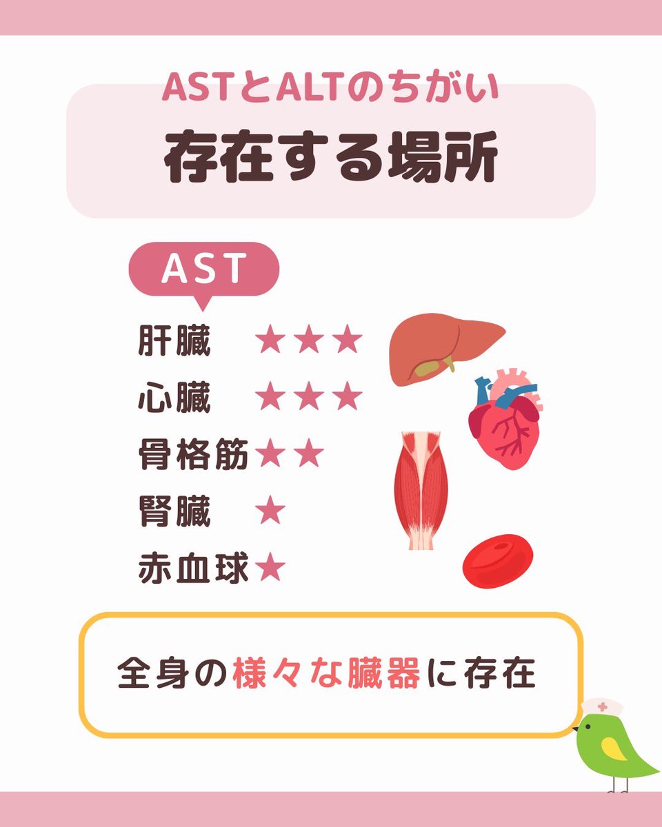 新人看護師さん必見‼️
ASTとALTの違い
現役看護師がまとめてみた
#看護師