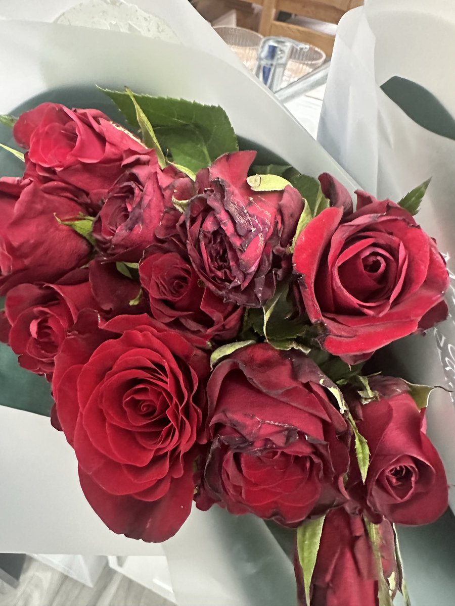 ellymum's tweet photo. @marksandspencer I took delivery of 2xdozen roses today, ordered as a surprise from my partner.Surprise is they’re awful. Black petals, 12 roses in two separate boxes, both the same condition.  Also limp. I would like him to be refunded. Can you DM me. https://t.co/lkkfbKHAJE