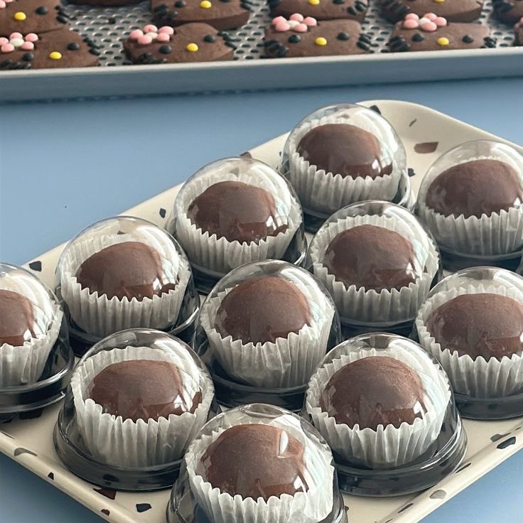 🍫·˚ˎˊ˗  𝘚𝘶𝘨𝘢𝘳 𝘙𝘶𝘴𝘩 𝘊𝘭𝘶𝘣 ♡彡 

Hi~ Rushies datang mengantarkan pesanan anda! <a href="/YZEOONE/">Changgu.</a>

Order detail:
- Nibballscho
- Chouwiez k

(🍫)

Note : “alabiyu alabiyu alabiyu today too!🩷”

Terima kasih sudah order di Sugar Rush Club! Have a nice day 💕