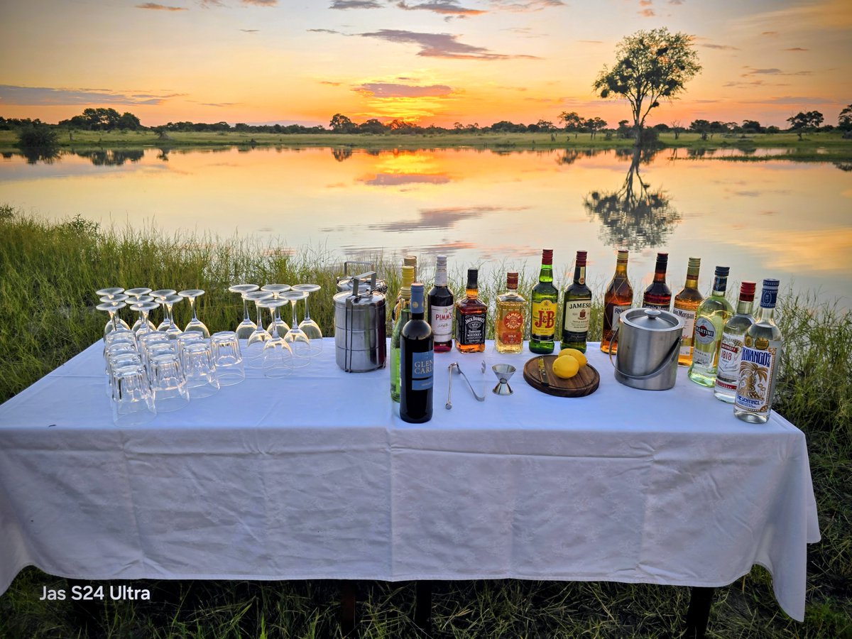 Sense of Africa Botswana tweet media