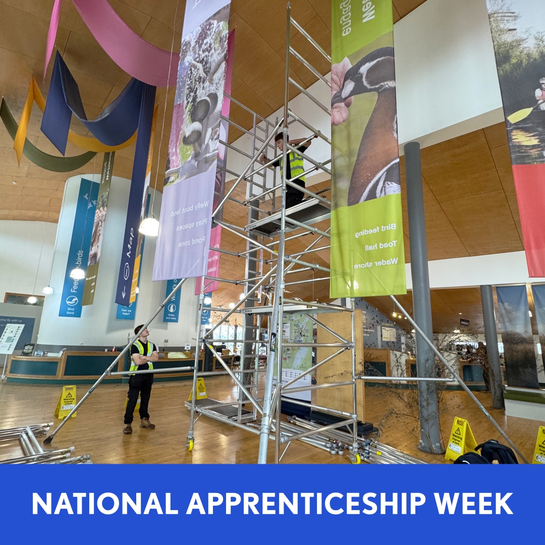 From PASMA training to erecting his own scaffold tower onsite, this is what Skills for Life looks like.

Our second-year apprentice is gaining real responsibility and practical experience in fire &amp; security every day.

#NAW2026 #NationalApprenticeshipWeek #SkillsForLife