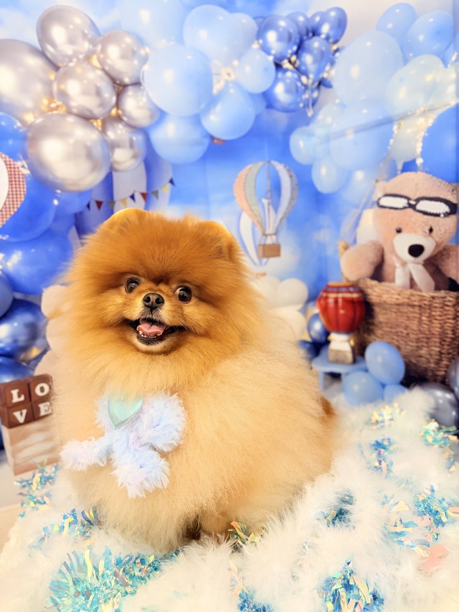 URI( ˊ̱˂˃ˋ̱ )🍊Level Ⅳ tweet media