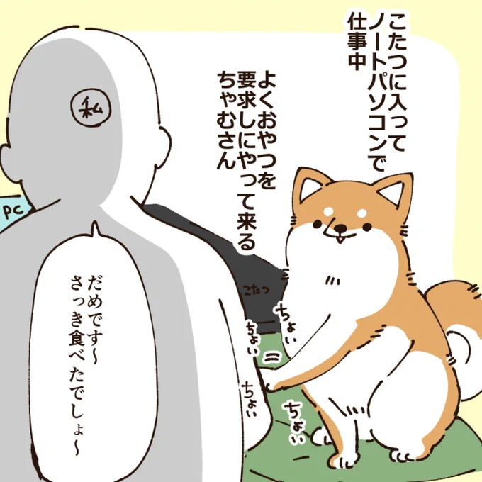 💻️
#ポメ柴ちゃむ日記 