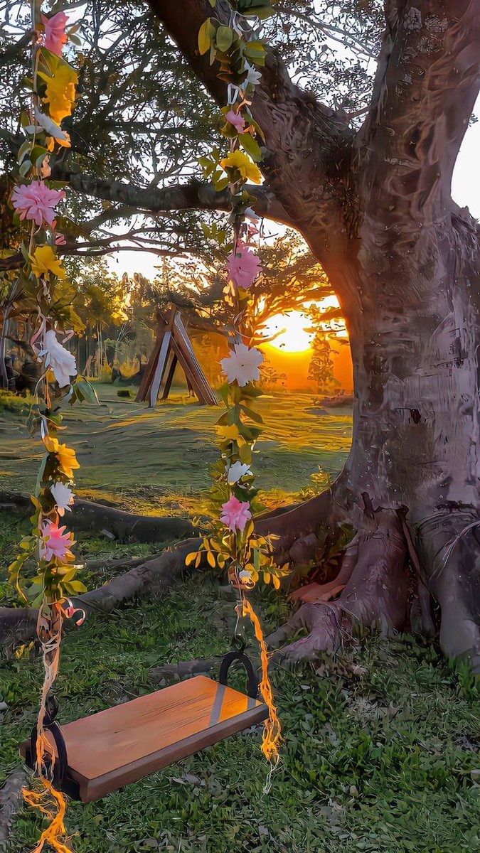 aestheticwabi's tweet image. 