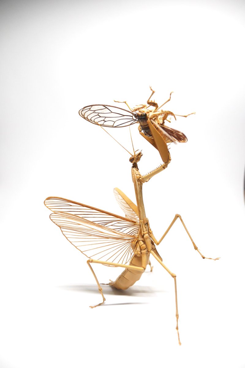 いよいよ明日からです。 金曜、土曜日は終日在廊予定です。 10年前の