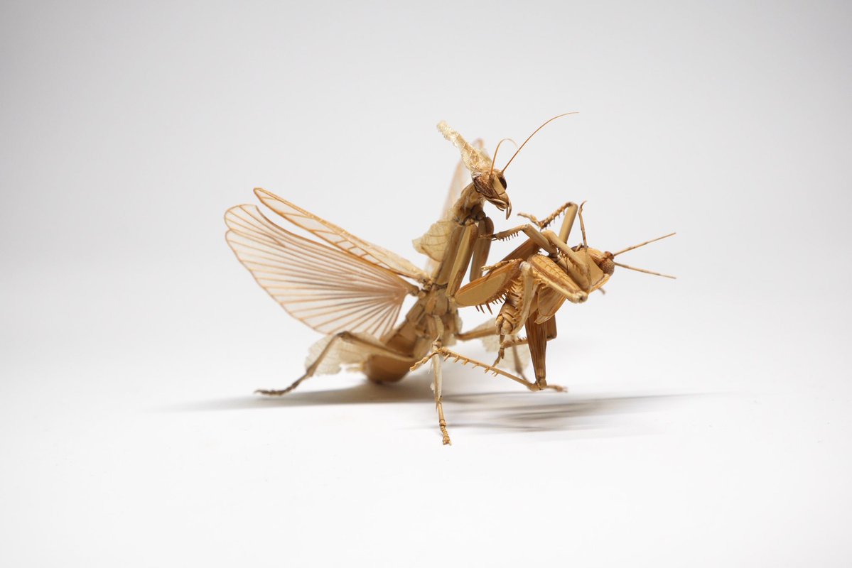 いよいよ明日からです。 金曜、土曜日は終日在廊予定です。 10年前の