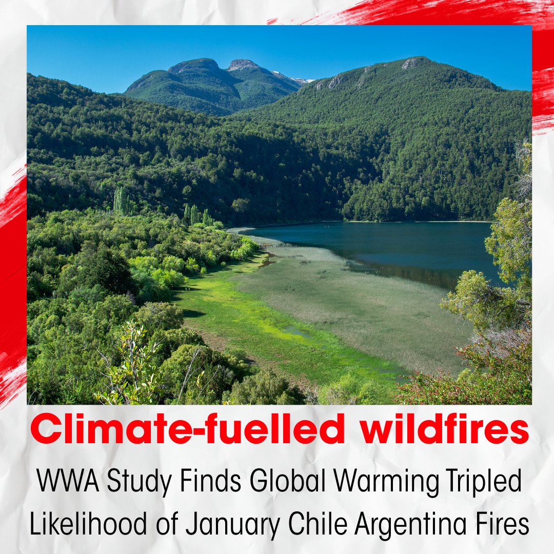 Down To Earth tweet media