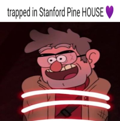 hey guys
#stanfordpineHOUSE💜