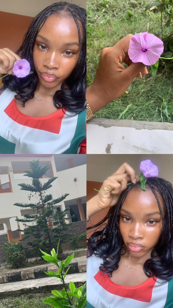 nonchalantluvrr's tweet image. 🌸