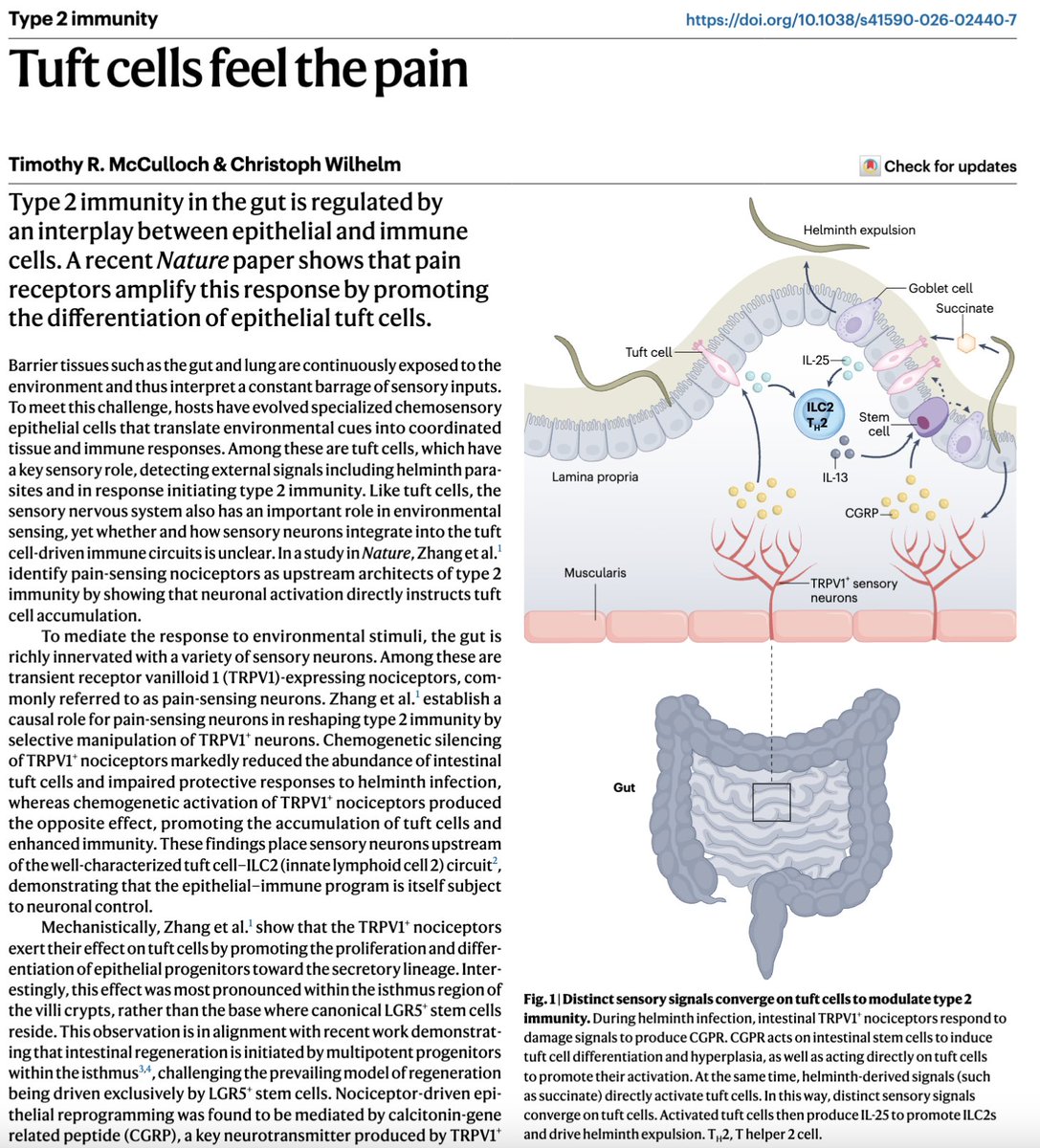 Wen Zhang tweet media