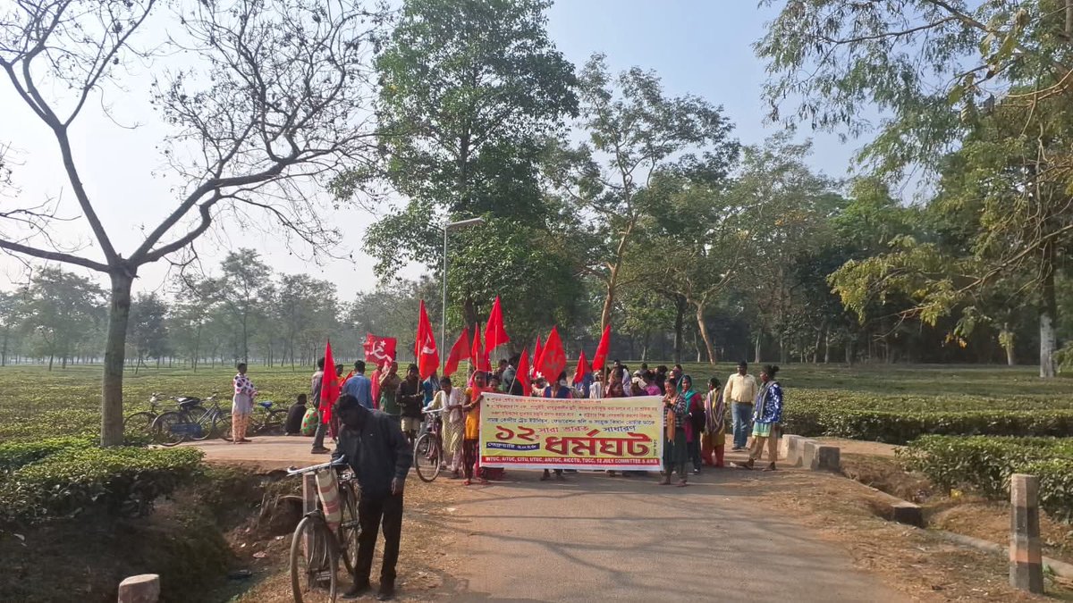 tncpim's tweet image. மேற்கு வங்கத்தின் நக்சல்பாரி தேயிலைத் தோட்டத் தொழிலாளர்களின் பொது வேலைநிறுத்தம். #12thFebGeneralStrike #GeneralStrike #Feb12Strike #SaveFarmers #LabourRights