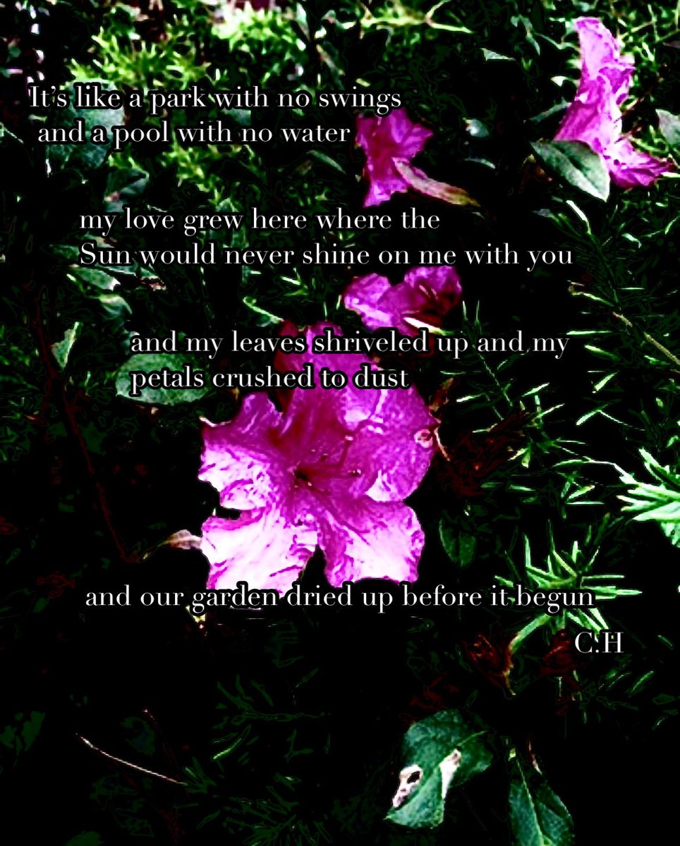 Cheri_TheBerry's tweet photo. It’s like a park with no swings and a pool with no water, my love grew here where the Sun would never shine on me with you and my leaves shriveled up and my petals crushed to dust and our garden dried up before it begun. https://t.co/oji8fUcY8n