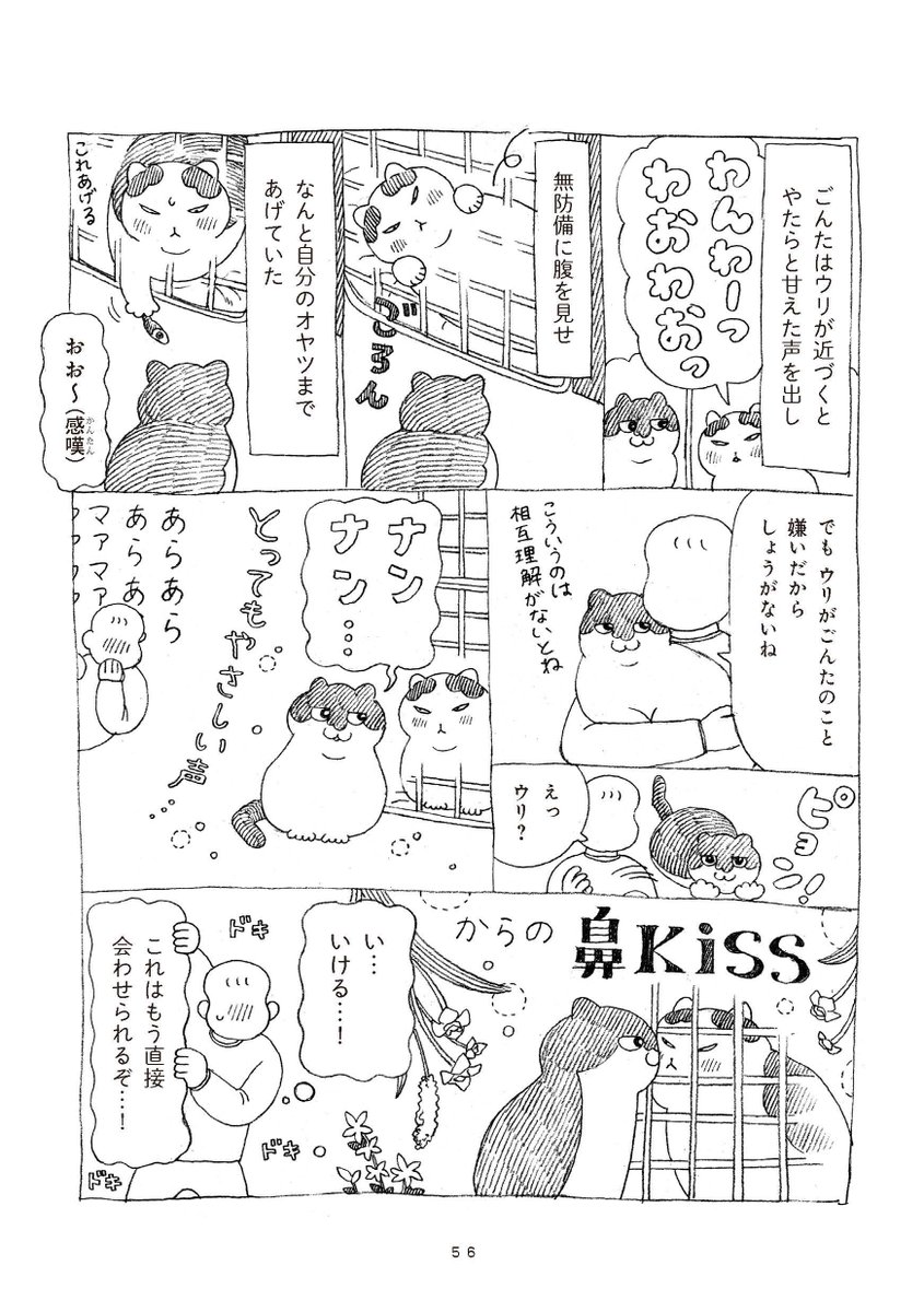 (4/5) 